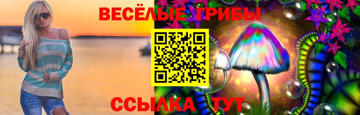 Кызыл  Галлюциногенные грибы мицелий  Вход с VPN 